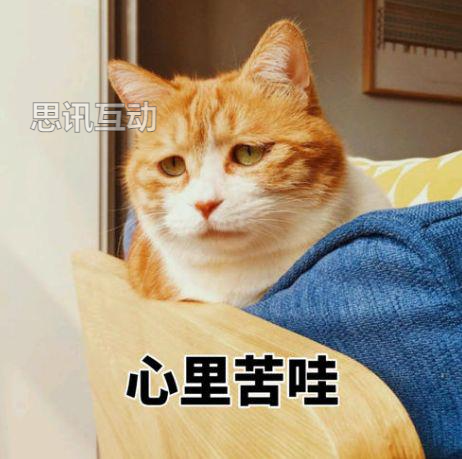 策划活动效果不好