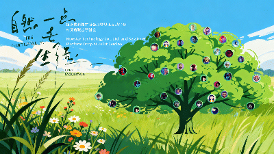 思讯互动-小清新