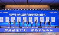 签约仪式圆满落幕，思讯互动助力提升活动氛围